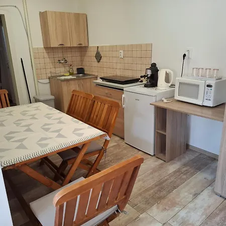 Emma Vendeghaz * Sárospatak