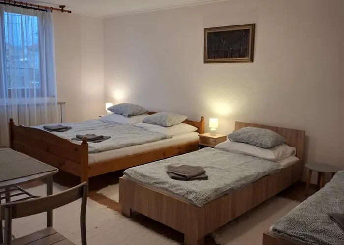 Apartament Emma Vendeghaz Sárospatak
